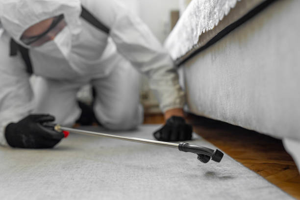 Professional Ant Control technician working in Essexville, MI