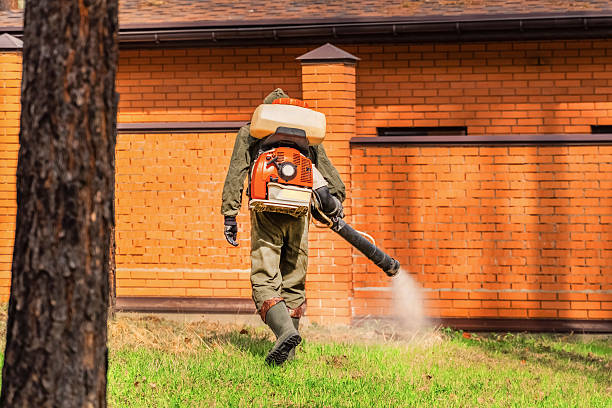 Trusted Ant Control service in Essexville, MI - Nex Pest Control
